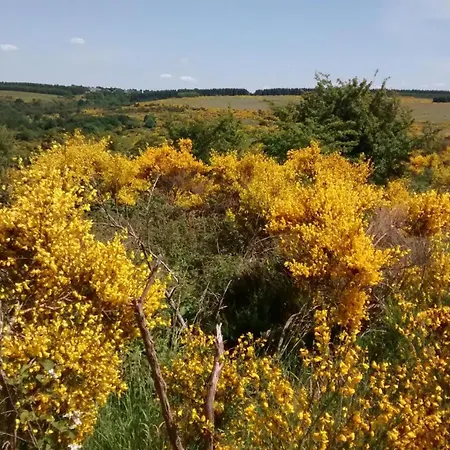 Biebes 아파트 Hofen