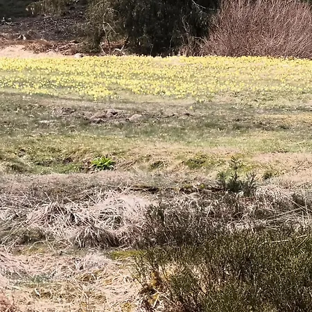 Biebes Διαμέρισμα