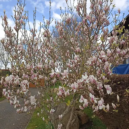 Biebes 아파트 Hofen