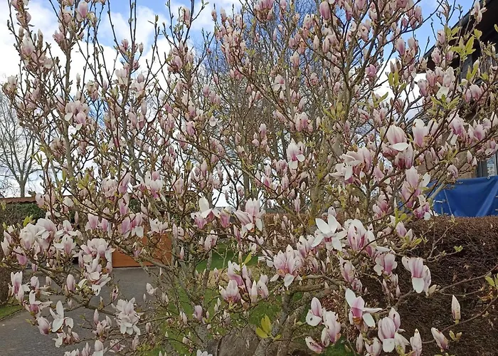 Biebes Διαμέρισμα Hofen